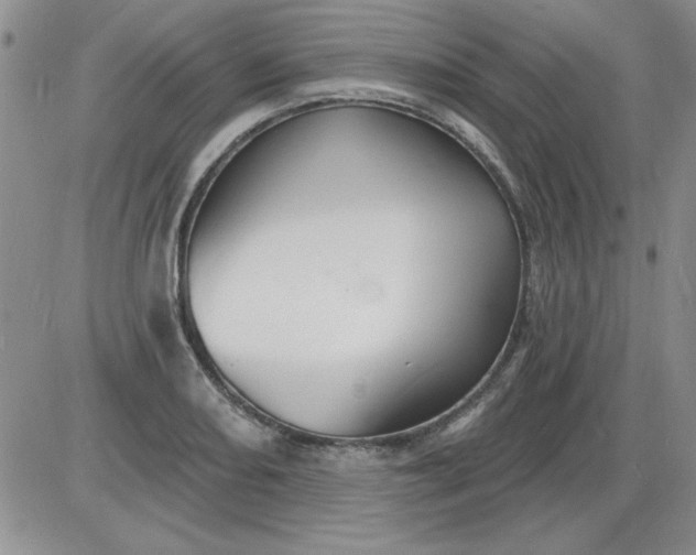 X0000085281082200703231801