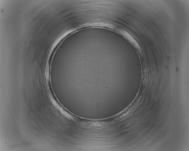 X0000085281084200703231801