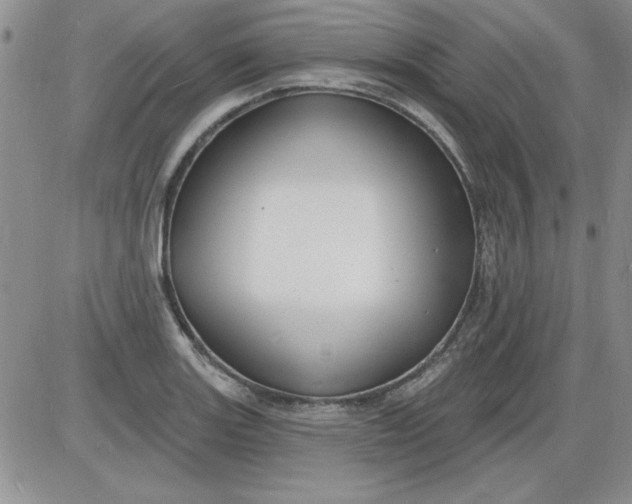 X0000085281131200703231800