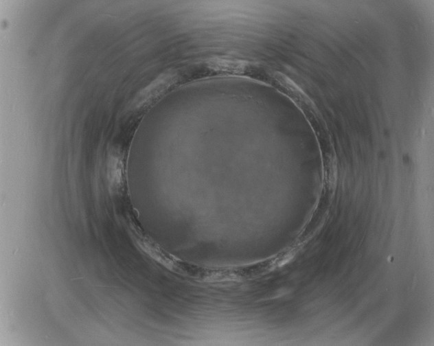 X0000085281154200703231800