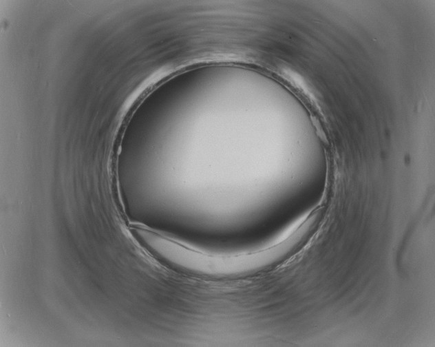 X0000085281181200703231759