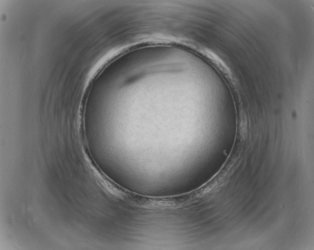 X0000085281183200703231759