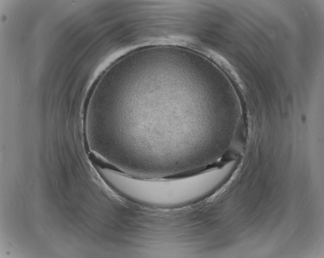 X0000085281184200703231759