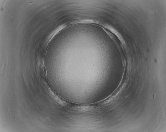 X0000085281193200703231759