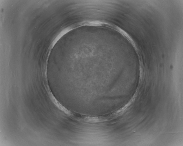 X0000085281194200703231759