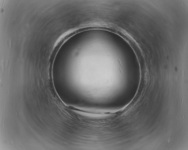 X0000085281222200703231758