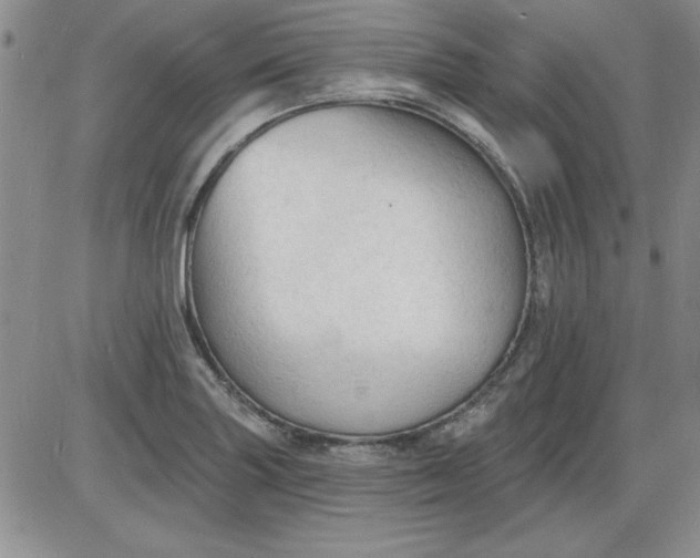 X0000085281227200703231758