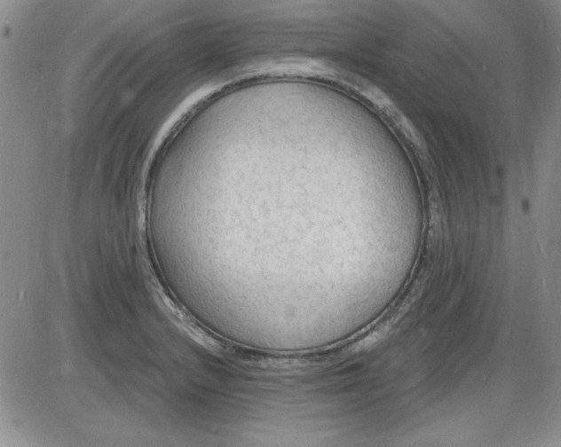 X0000085281232200703231758