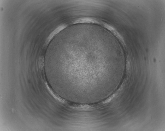X0000085281233200703231758