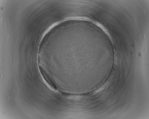 X0000085281237200703231759