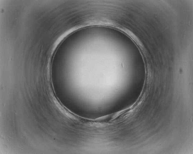 X0000085281246200703231759
