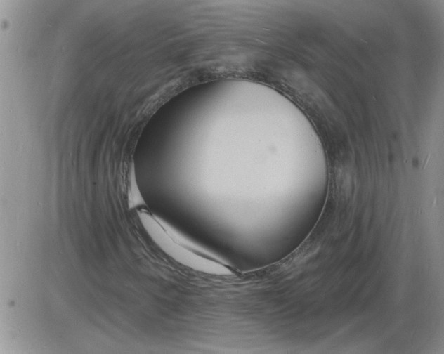 X0000085281250200703231758