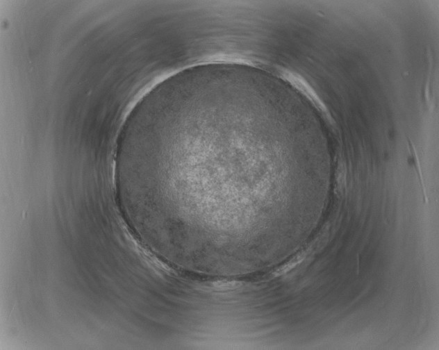 X0000085281268200703231758