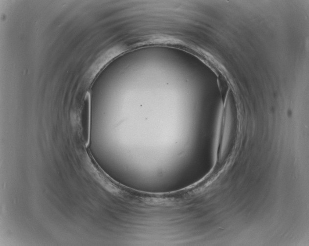 X0000085281281200703231757