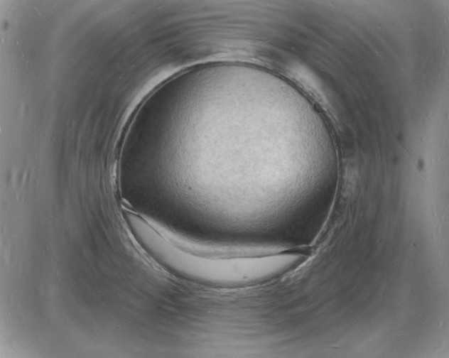X0000085281284200703231757