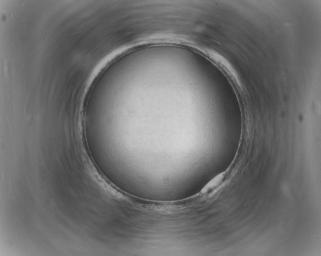 X0000085281288200703231757