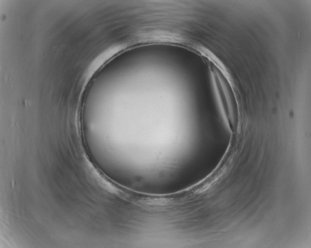 X0000085281293200703231757