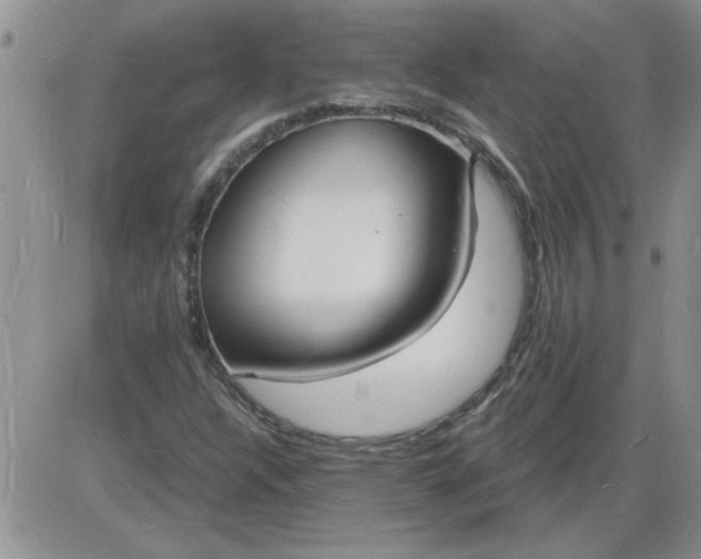 X0000085281304200703231756
