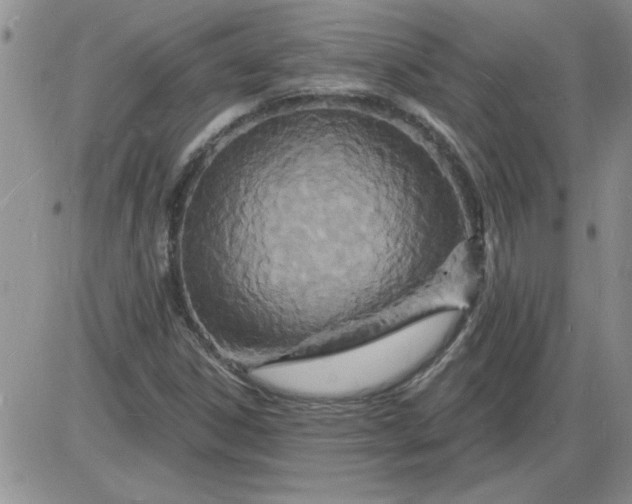 X0000085281306200703231757