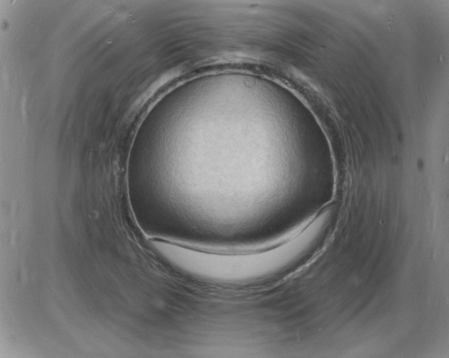 X0000085281313200703231757