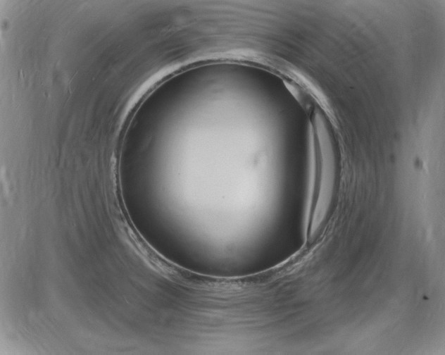 X0000085281332200703231757