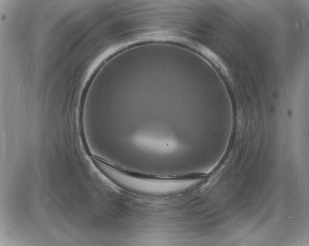 X0000085281334200703231757