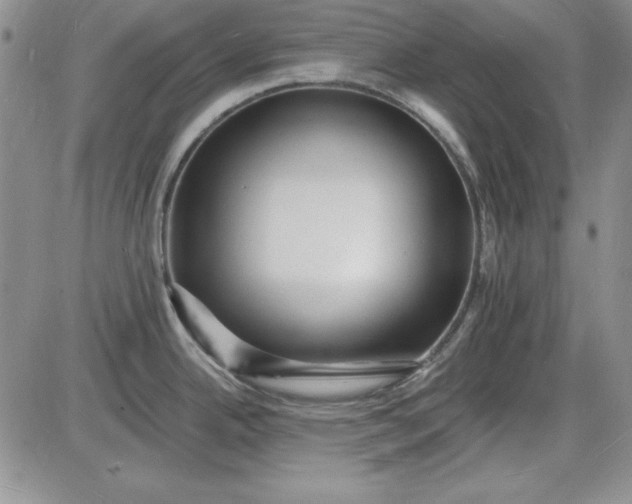 X0000085281342200703231757
