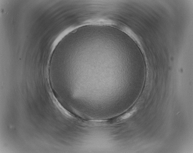 X0000085281344200703231757