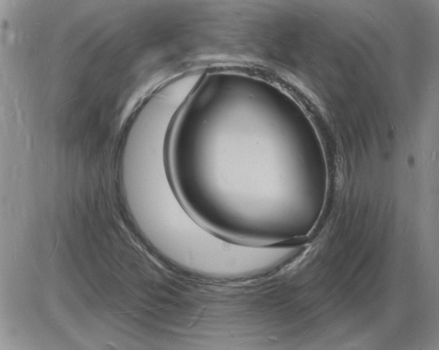 X0000085281357200703231756