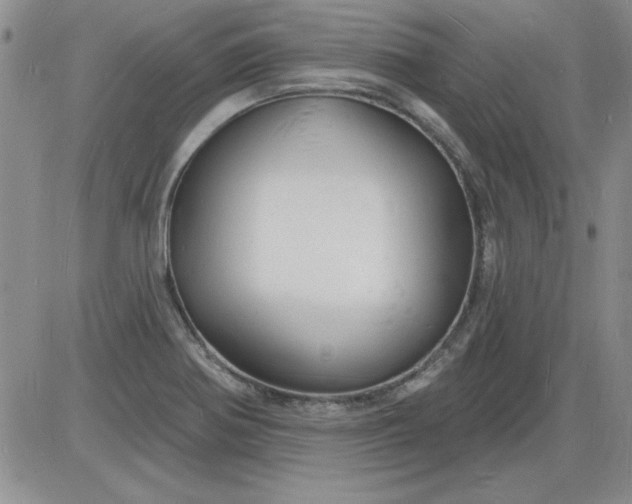 X0000085281370200703231756