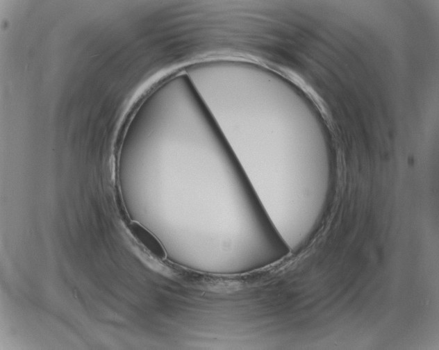 X0000085281372200703231756