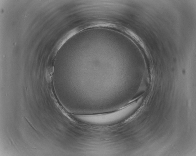 X0000085281377200703231756