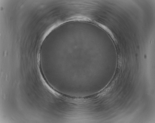 X0000085281383200703231756