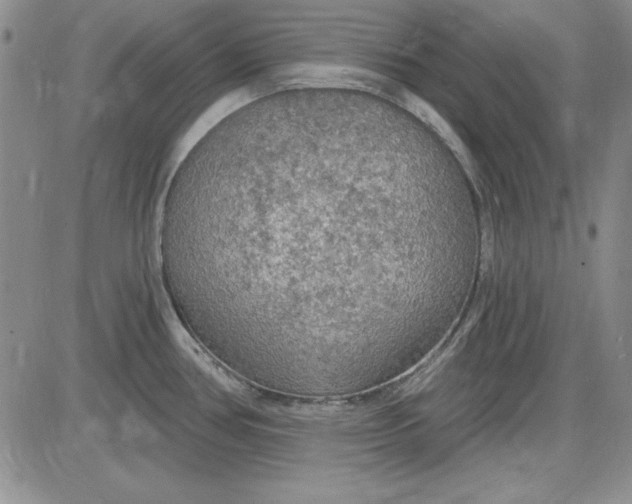 X0000085281386200703231756