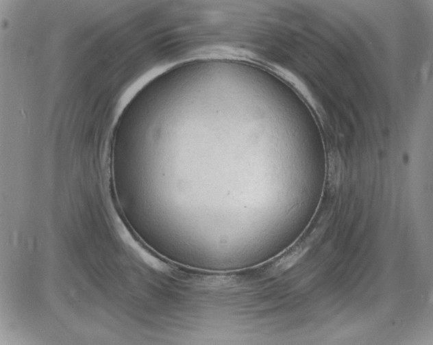X0000085281387200703231756