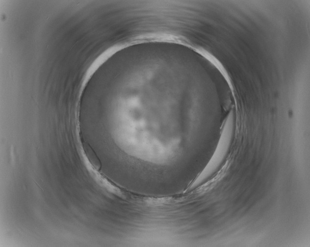 X0000085281389200703231756