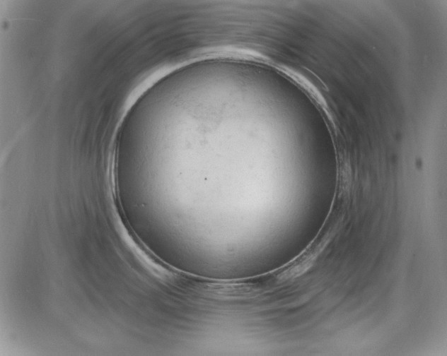 X0000085281391200703231756