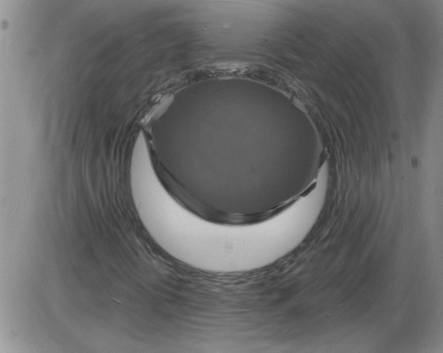 X0000085281394200703231755