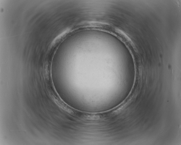 X0000085281403200703231755