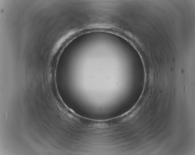 X0000085281406200703231755