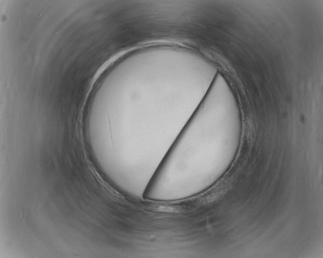 X0000085281412200703231755