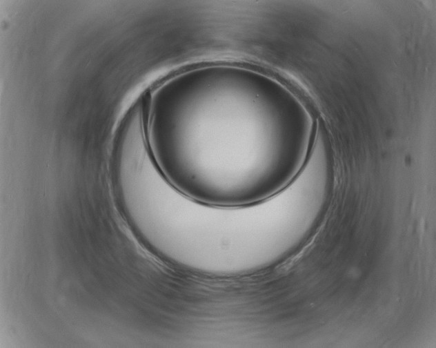 X0000085281414200703231755