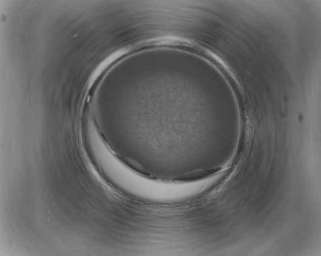 X0000085281418200703231755