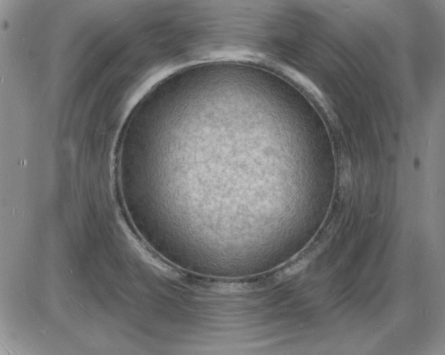 X0000085281423200703231755