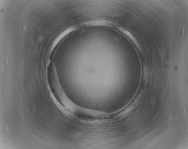 X0000085281426200703231755