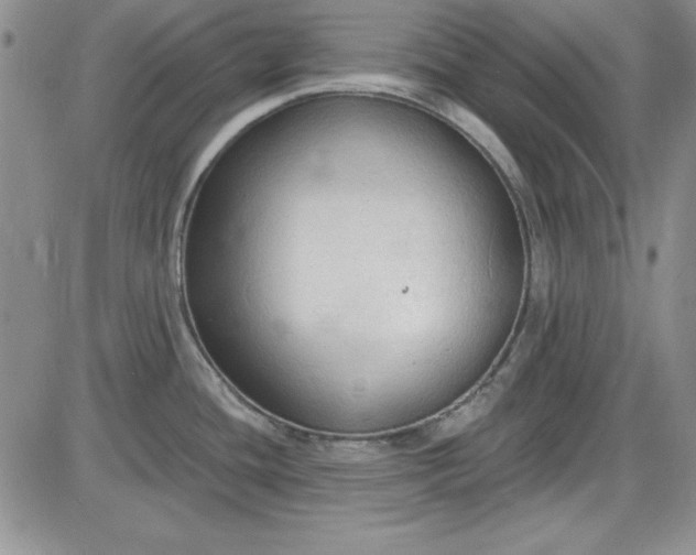 X0000085281436200703231756