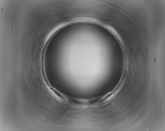 X0000085281438200703231756