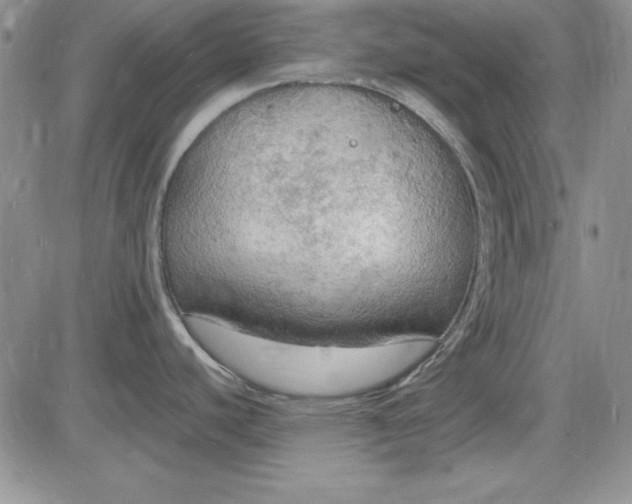 X0000085281440200703231756