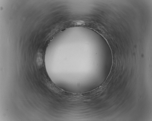 X0000085281442200703231755