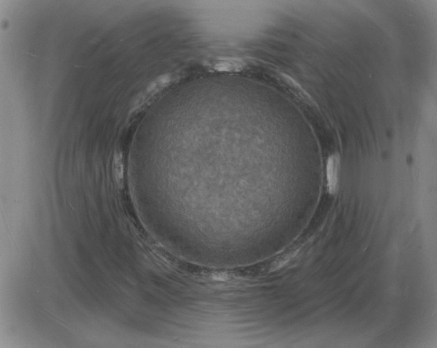 X0000085281443200703231755